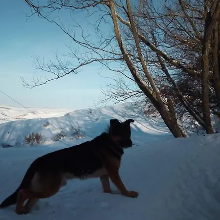 Kır Evi Masia El Cabrero *