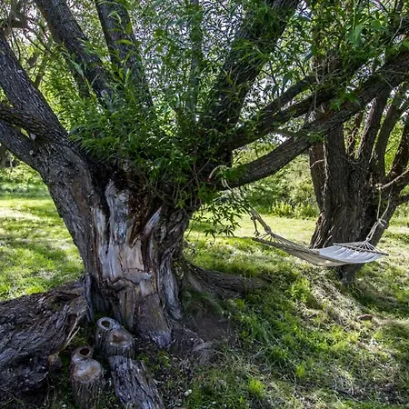 Masia El Cabrero Country house